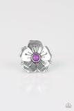 Paparazzi Accessories Boho Blossom Purple Silver Flower Ring